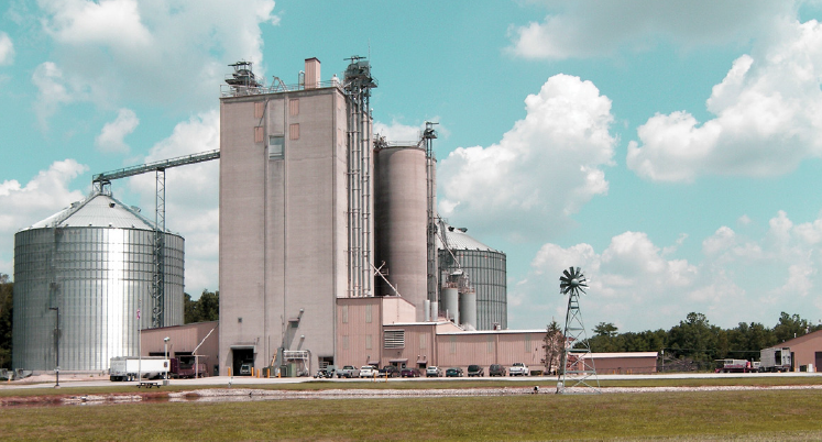 Nieuwe afbeelding (6).jpg