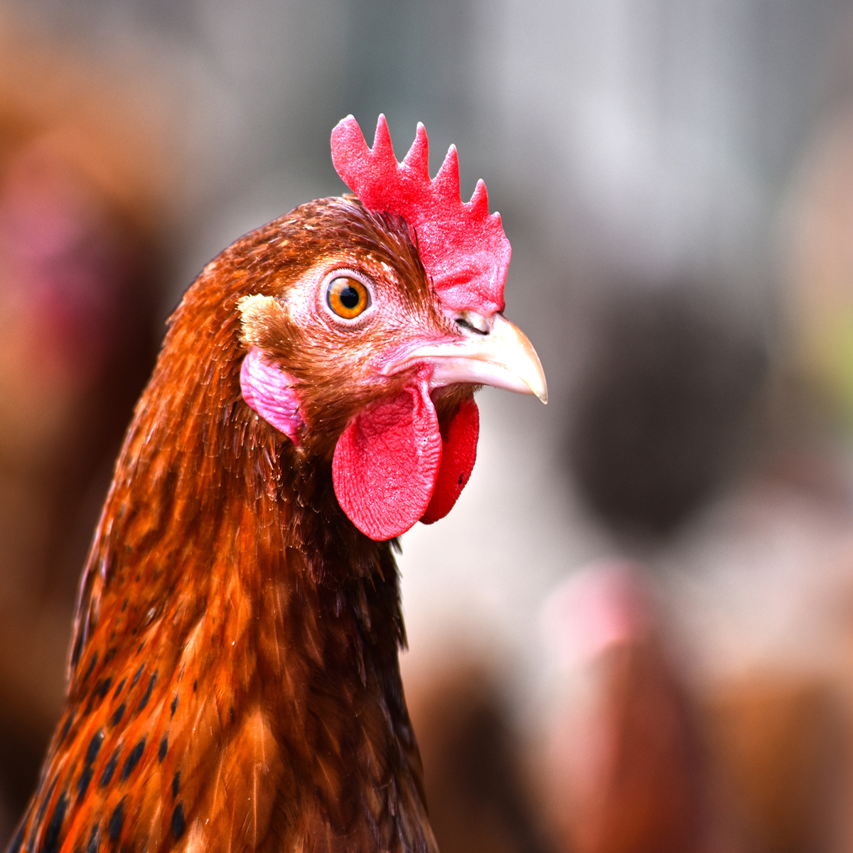 Website Image_Taiwan Smart Agriweek.jpg