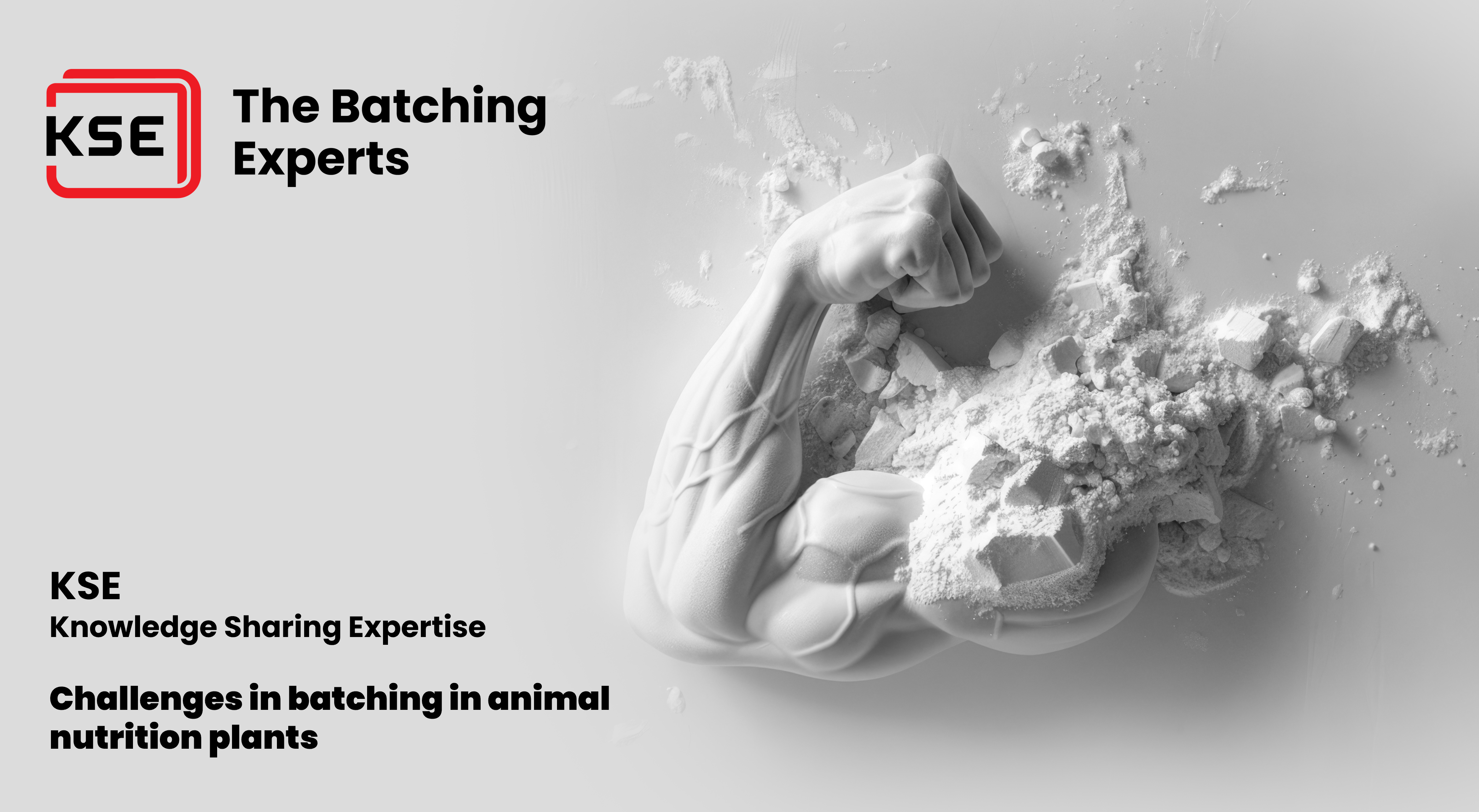 Whitepaper: Challenges in batching in animal nutrition plants